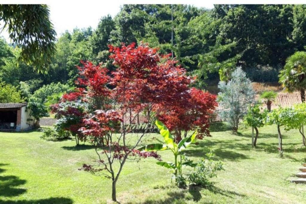 דירות Costigliole Saluzzo Istanti - Menta מראה חיצוני תמונה
